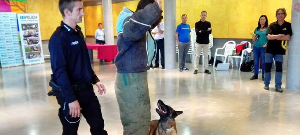 Les càmeres policials de Platja d´Aro ajuden a reduir robatoris en domicilis