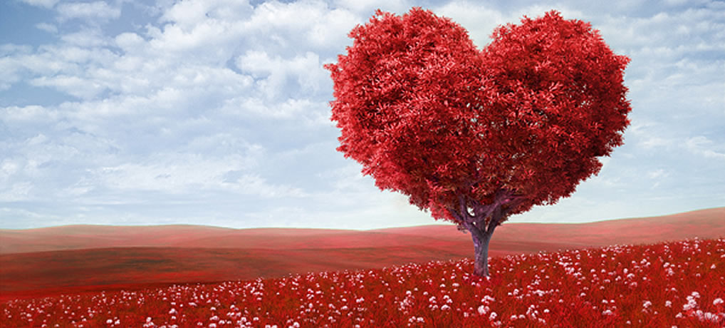 Feliç Sant Valentí